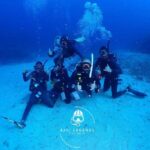 Bali/Amed: 2 Fun Dives for Certified Divers with Transfers - Why This Tour Works Well