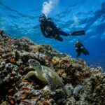 Bali, Amed: Advanced Open Water Course with Kayak Adventure - The Sum Up