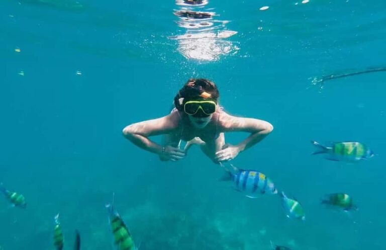 Bali, Amed Snorkeling, Kayak, and Paddle Board Tour - Who Is This Tour Best Suited For?