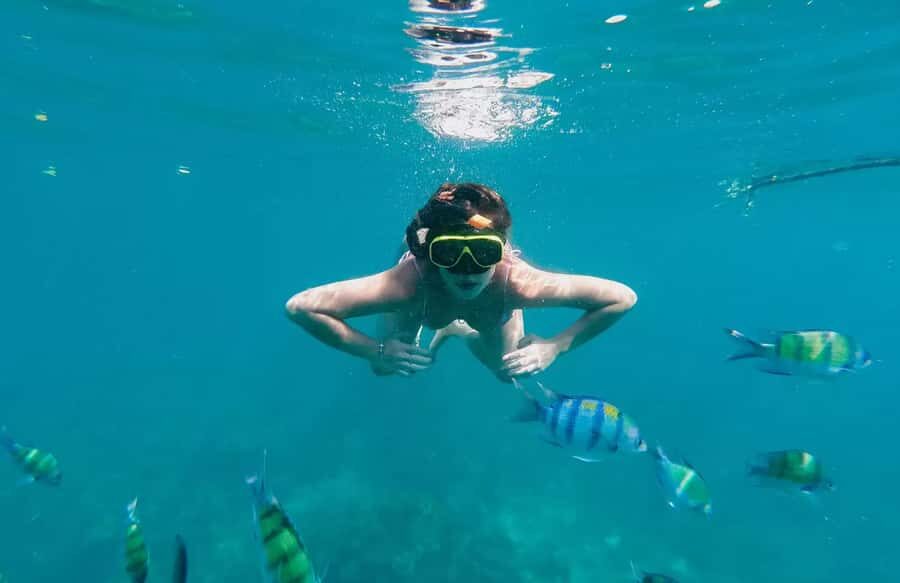 Bali, Amed Snorkeling, Kayak, and Paddle Board Tour - Who Is This Tour Best Suited For?