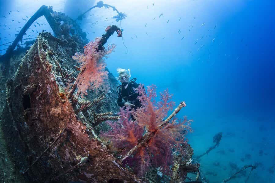 Bali, Amed: Wreck Diver Specialty & Kayak Adventure - Exploring the Bali Wreck Diver & Kayak Adventure: A Deep Dive