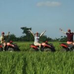 Bali ATV and Purification Ritual at Taman Beji Griya Waterfall - Who Should Consider This Tour?