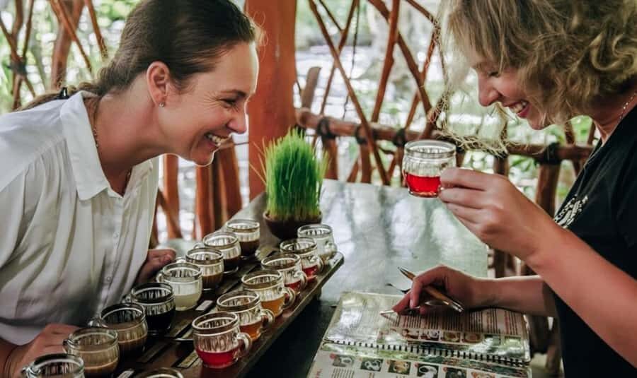 Bali: ATV, Coffee Plantation, Temple & Monkey Forest Tour - Who Should Consider This Tour?