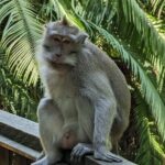 Bali ATV Ride Adventure and Ubud Village Tour - All Inclusive - Detailed Breakdown of the Experience