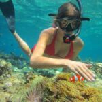 Bali: Basic Snorkeling at Menjangan Island - The Itinerary in Detail: What Your Day Looks Like