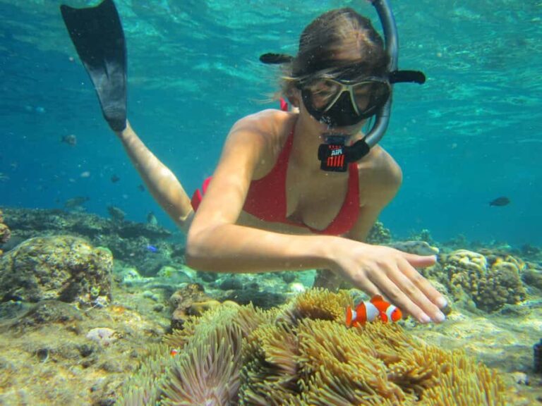 Bali: Basic Snorkeling at Menjangan Island - The Itinerary in Detail: What Your Day Looks Like