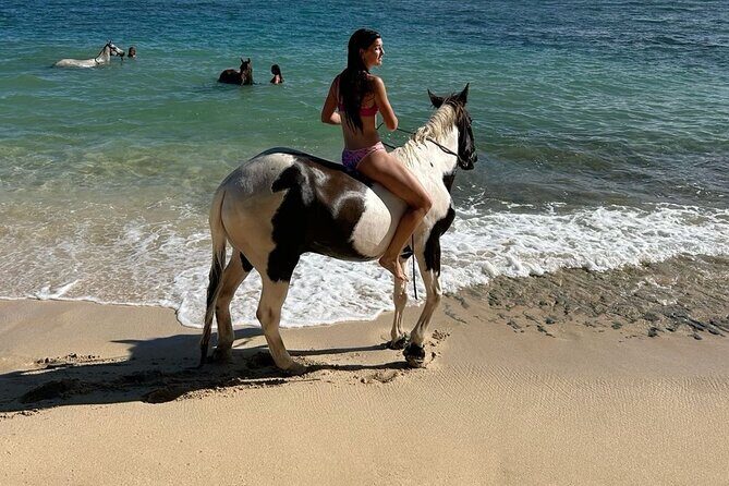 Bali Beach Horse Riding combo with waterfall All Inclusive - Authentic Experiences and Practical Tips