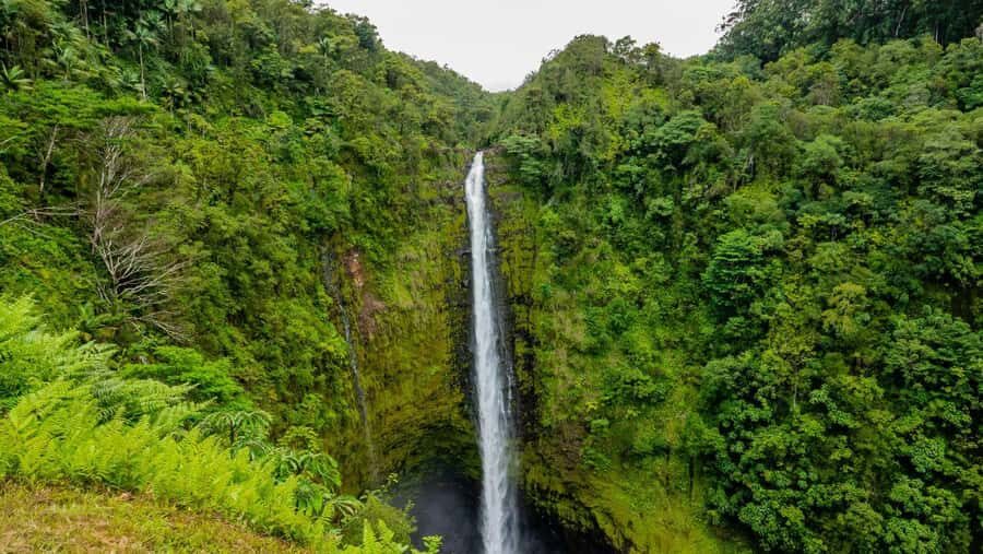 Bali: Beautiful North Bali, Temples, Waterfalls all included - Practical Details and What to Expect