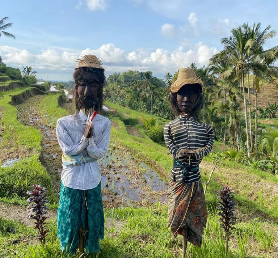 Bali: Bedugul Cultural & Nature Discovery Full Day Tour - A Deep Dive into the Bedugul Cultural & Nature Discovery Tour