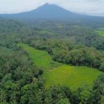 Bali: Belimbing Village Trek with Waterfall & Temple Visit - The Itinerary: What’s Included and What to Expect