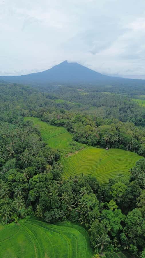 Bali: Belimbing Village Trek with Waterfall & Temple Visit - The Itinerary: What’s Included and What to Expect