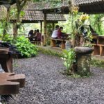 Bali Benoa Shore Excursion for Cruise Passenger All Inclusive - Real Traveler Insights and Practical Tips