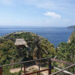 Bali: Best of Nusa Penida west Full-Day Tour - A Closer Look at the Itinerary