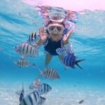 Bali Best Snorkeling Blue Lagoon with Lunch & Guide - The Value of a Private Tour