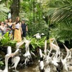 Bali Bird Park & Pirate Dinner Cruise the Unique Adventure - Practical Details and Tips