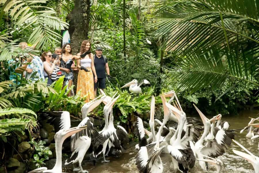Bali Bird Park & Pirate Dinner Cruise the Unique Adventure - Practical Details and Tips