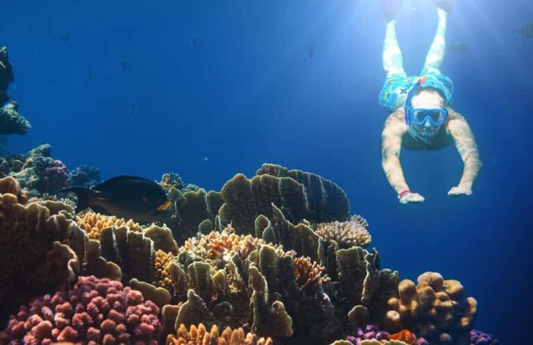 Bali Blue Lagoon Snorkeling and Waterfall Tour - An In-Depth Look at the Tour Itinerary