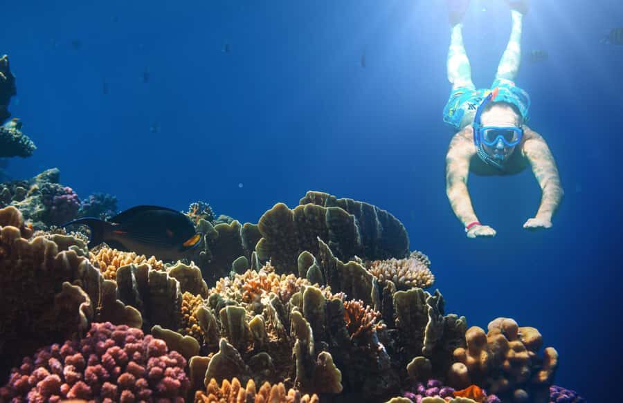 Bali Blue Lagoon Snorkeling and Waterfall Tour - An In-Depth Look at the Tour Itinerary