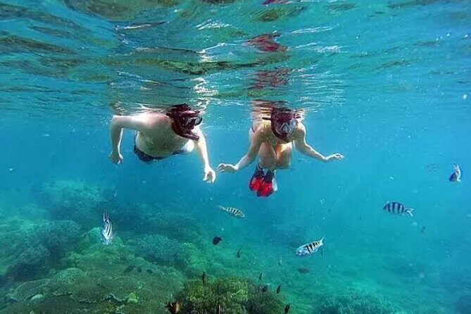 Bali Blue Lagoon Snorkeling, Lempuyang and Waterfall Tour - Practical Details & What You Should Know