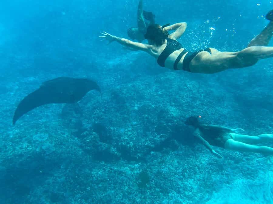 Bali: Blue Lagoon Snorkeling & UTV Buggy Adventure - Detailed Breakdown of the Experience