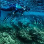 Bali Blue Lagoon Snorkeling with Private Transfer and Lunch - Deep Dive into the Itinerary