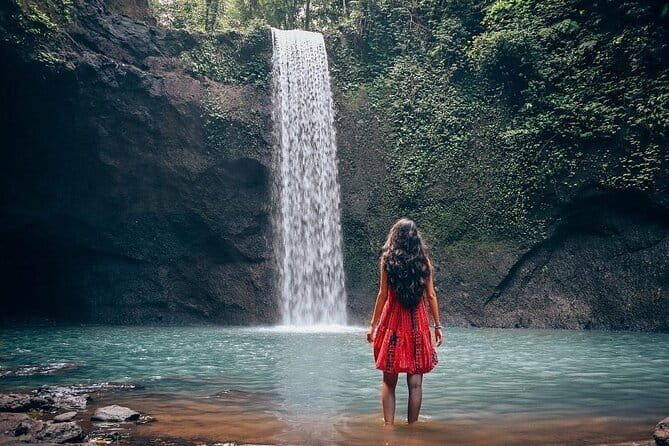 Bali : Chasing Best Hidden Waterfall include All Entrance Fee - What to Expect From the Tour