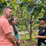 Bali: Chocolate Tour with Rice Terraces and Temple Visit - Practical Details and Tips