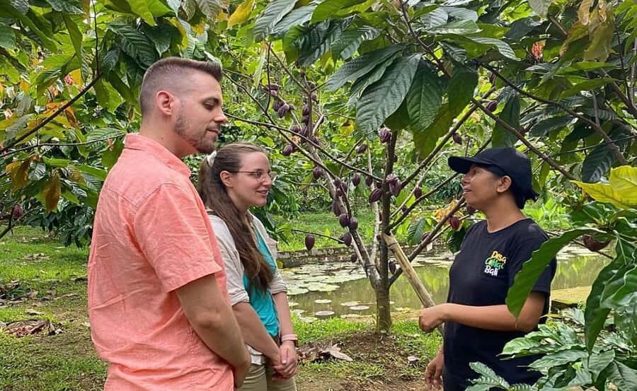 Bali: Chocolate Tour with Rice Terraces and Temple Visit - Practical Details and Tips