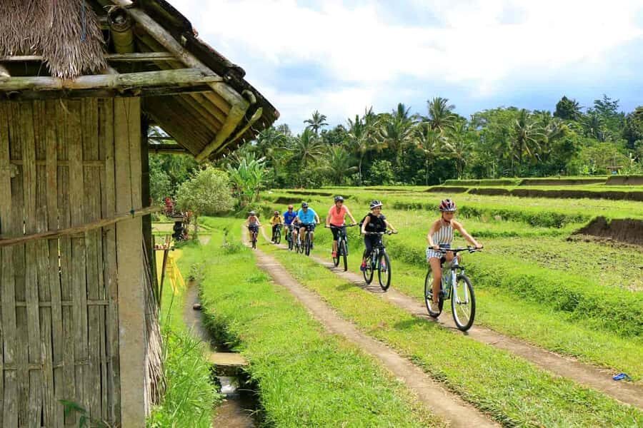 Bali: Countryside on Two Wheels Cycling Adventure - What We Loved