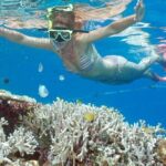 Bali Cruise Shore Excursion  Highlights Tour from Benoa Port - Authentic Experiences and Practical Details