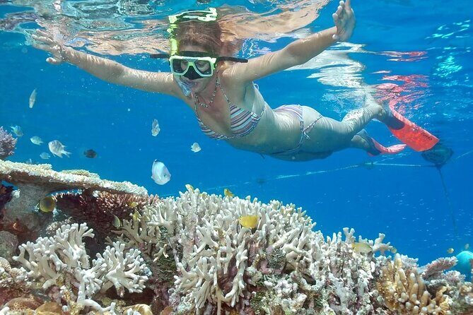 Bali Cruise Shore Excursion  Highlights Tour from Benoa Port - Authentic Experiences and Practical Details