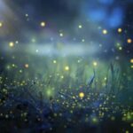 Bali: Cultural Ritual, Local Cuisine & Firefly Adventure - The Village Tour: A Step Into Rural Bali