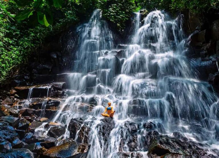 Bali: Culture Heritage Village & Holy Spring PrivateDay Tour - A Deep Dive into the Bali Experience