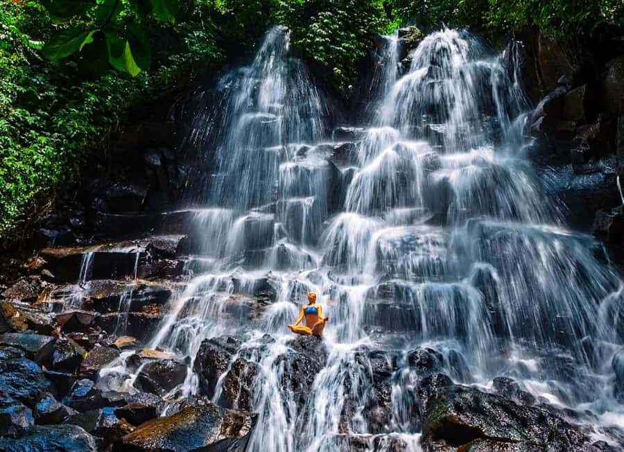 Bali: Culture Heritage Village & Holy Spring PrivateDay Tour - A Deep Dive into the Bali Experience