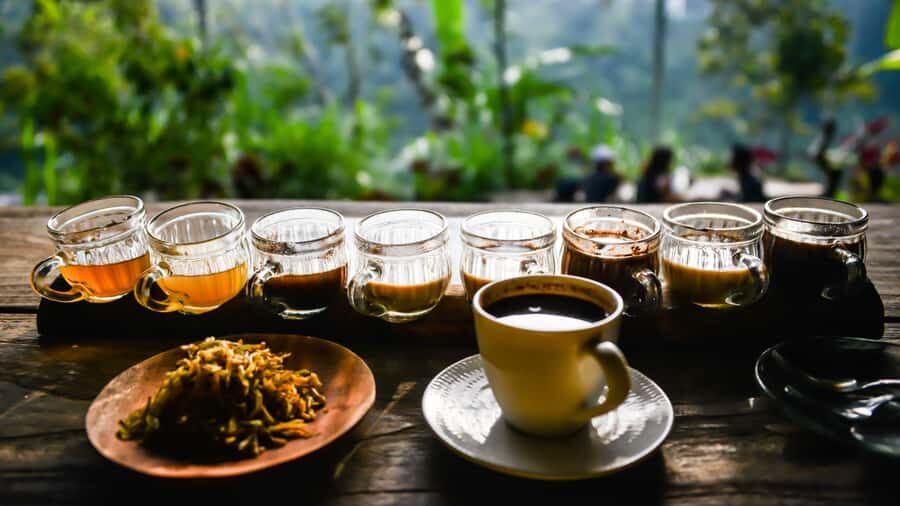 Bali Culture Tour: Plantation, Penglipuran, Kecak Dance - Exploring the Bali Culture Tour in Detail