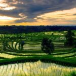 Bali: Customised North Bali Tour With Hotel Transfer - The Practical Aspects: What to Expect and How to Prepare