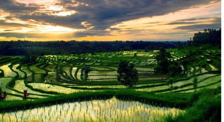 Bali: Customised North Bali Tour With Hotel Transfer - The Practical Aspects: What to Expect and How to Prepare