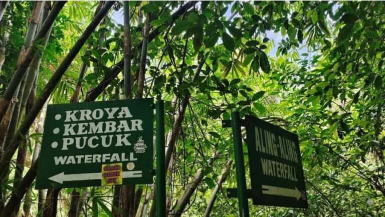 Bali: Customised North Bali Tour With Private Car and Driver - An In-Depth Look at the North Bali Experience