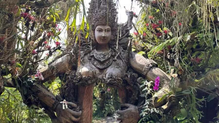 Bali: Customised Ubud Full Day Trip With Private Car, Driver - The Highlights: A Closer Look