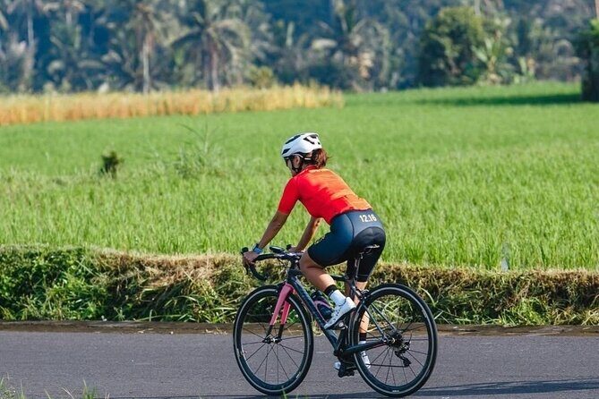 Bali Cycling Explore Village and Firefly with Lunch - Who Should Consider This Tour