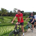 Bali Cycling Tour - exploring bali countryside by bike - Who Would Love This Tour?