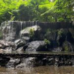 Bali Day Tour: Penglipuran, Waterfall & Monkey river - Is It Worth the Price? Analyzing the Value