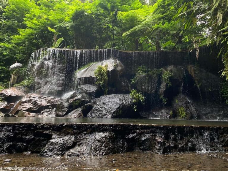 Bali Day Tour: Penglipuran, Waterfall & Monkey river - Is It Worth the Price? Analyzing the Value