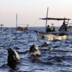 Bali Dolphin Lovina Watching, Swimming and Snorkeling Tour - Authentic Reviews and Insights