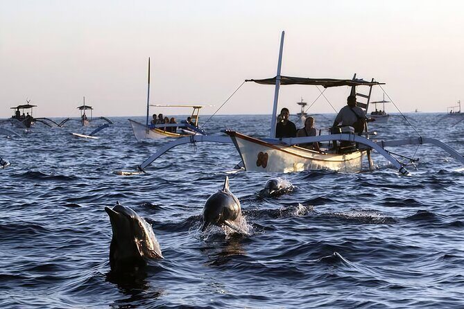 Bali Dolphin Lovina Watching, Swimming and Snorkeling Tour - Authentic Reviews and Insights