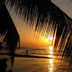 Bali: Dolphin Watching, Aling Aling Waterfall, All Inclusive - Transportation and Timing