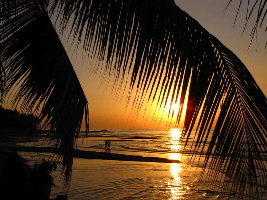 Bali: Dolphin Watching, Aling Aling Waterfall, All Inclusive - Transportation and Timing