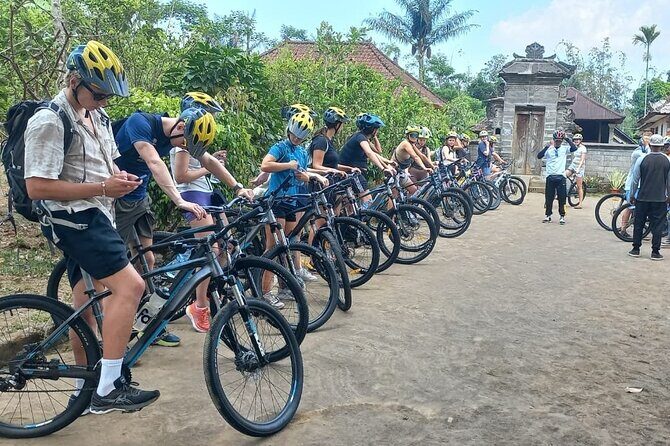 Bali Downhill Cycling Kintamani to Ubud with Private Transfer - An In-Depth Look at the Itinerary and Experience