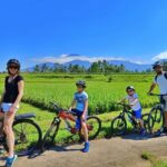 Bali Easy Countryside Cycling with Rice Fields & Local Life - The Detailed Breakdown of the Experience