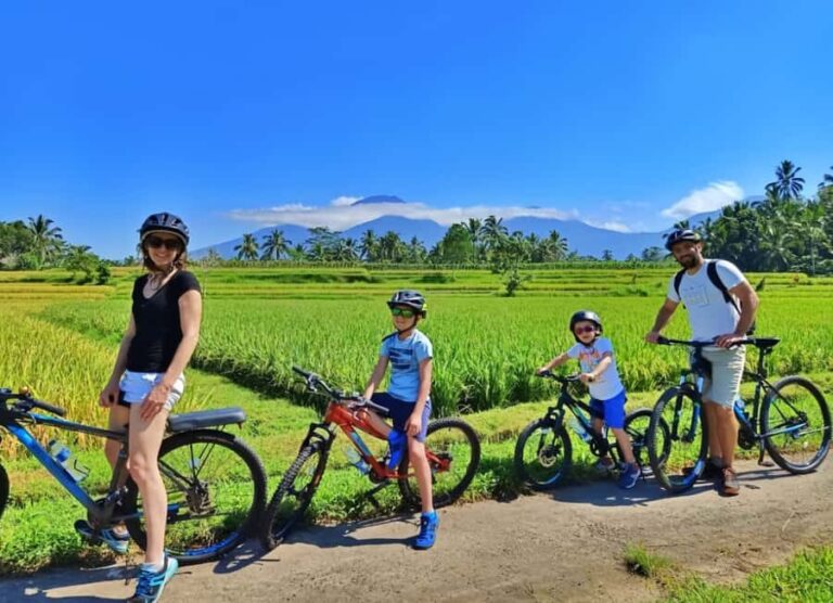 Bali Easy Countryside Cycling with Rice Fields & Local Life - The Detailed Breakdown of the Experience